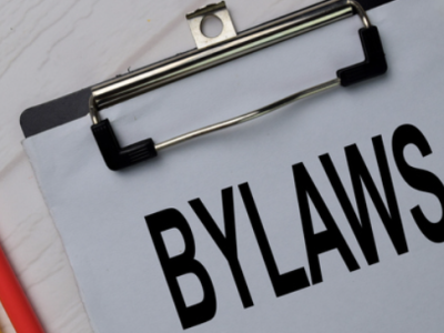 Proposed changes to SPJVA bylaws